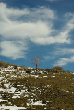 Voltigno Platosu - Carpineto della Nora - Abruzzo (PE)