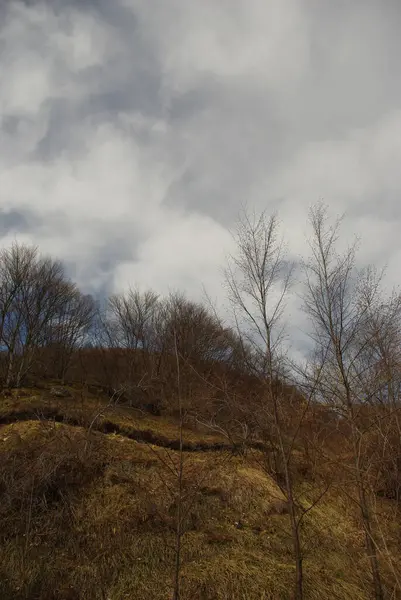 Voltigno Platosu - Carpineto della Nora - Abruzzo (PE)