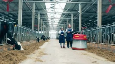 Cowshed with two workers watching a robotic feed pusher. 4K