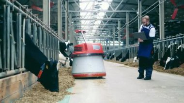 Farmworker with a laptop is controlling a robotic feed pusher. 4K