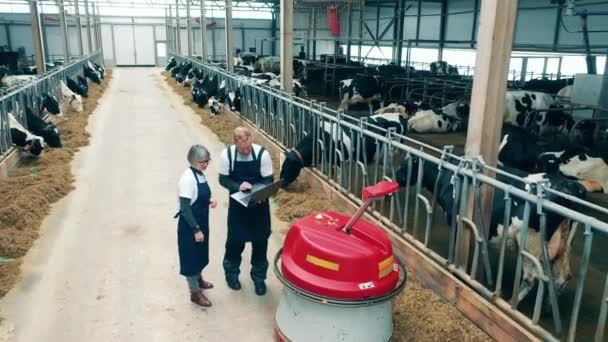 Robotic Feed Pusher Being Operated Cowshed Workers — Stock video