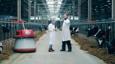Cowshed with two farmworkers talking next to a robotic feed pusher. 4K