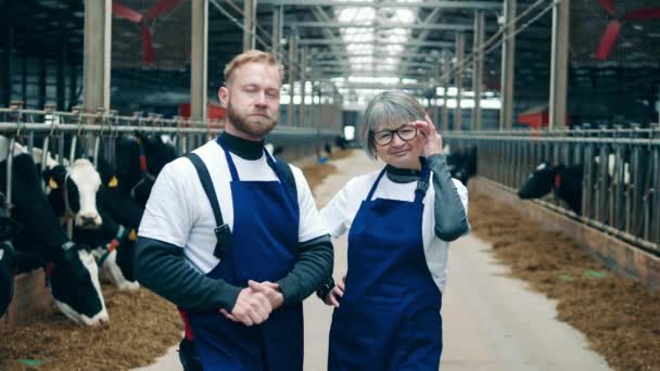 Two Cowshed Workers Smiling Camera — Stock video