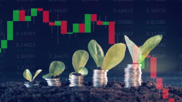 Live Stock Charts Coins Plants Them — Stock Video