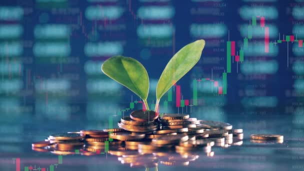 Plant Pile Money Dynamic Stock Charts Background — Vídeos de Stock