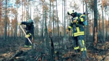 Firemen are smothering the forest ground. 4K