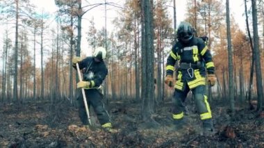 Woodlands are getting smothered by two firefighters. 4K