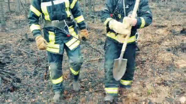 Two Firemen Safety Outfits Walking Forest Fire Zone — Vídeo de stock