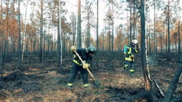 Brandweerlieden Blussen Smeulende Bosgrond — Stockvideo