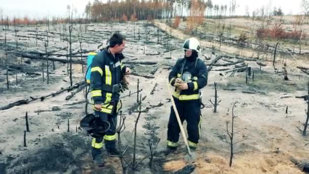 Πυροσβέστες Μιλάνε Στο Δάσος Αφού Έσβησαν Φωτιά — Αρχείο Βίντεο