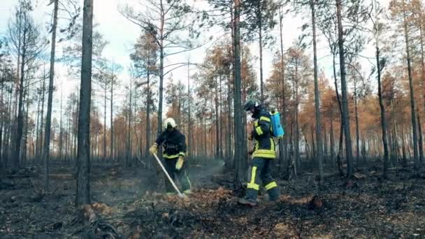 Пожарные Душат Лес После Пожара — стоковое видео