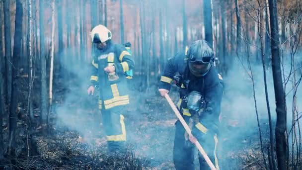 Firemen Extinguishing Residual Fire Woods — Αρχείο Βίντεο