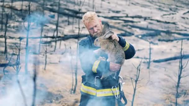 Rescue Worker Holding Rabbit Smoke Surrounding Them — Vídeo de Stock