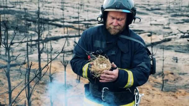 Firefighter Quails Nest His Hands — стоковое видео
