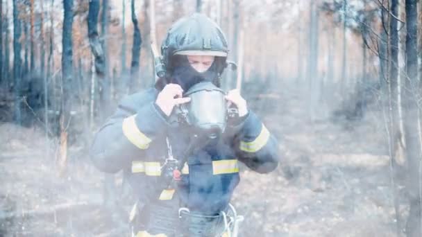 Επαγγελματίας Πυροσβέστης Στο Δάσος Γεμάτος Καπνό — Αρχείο Βίντεο