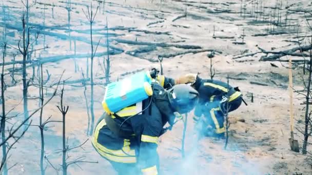 Firemen Removing Charred Trees Fire Zone — Stock videók