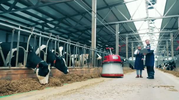 Diz Üstü Bilgisayarı Olan Sığır Çiftçileri Hareket Eden Bir Yem — Stok video