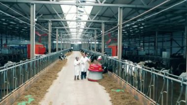 Agricultural specialists are following a feed pusher through the farm. 4K