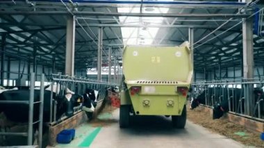 A truck is unloading hay for the cattle in the cowhouse. 4K