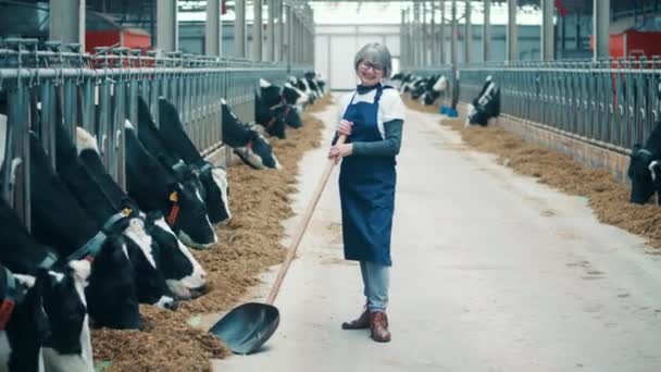 Female Farmer Standing Shovel Cattle Barn — Vídeo de stock