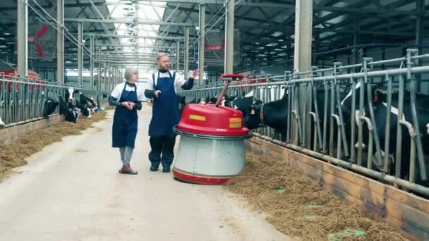 自動送りプッシャーの後に2人の専門家と牛の農場 — ストック動画