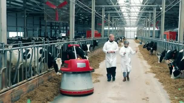 飼料プッシャーと2人の専門家と現代の牛農場 — ストック動画