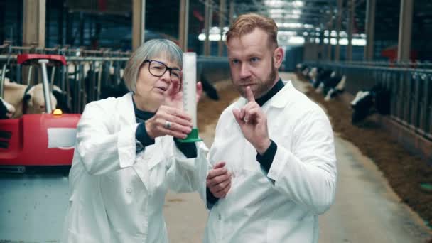 Due Esperti Dell Azienda Stanno Esaminando Attentamente Campione Latte — Video Stock