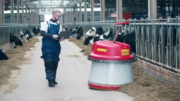 Работник Молочной Фермы Дистанционно Управляет Подающим Кормом — стоковое видео