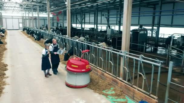Les Ouvriers Agricoles Suivent Pousseur Aliments Travers Ferme — Video