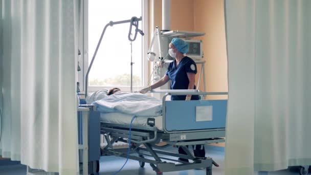 医療従事者は病棟の患者を調べている — ストック動画