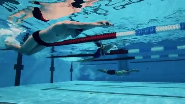 Trzech Sportowców Pływa Pod Wodą Używając Techniki Kopnięcia Delfinów — Wideo stockowe