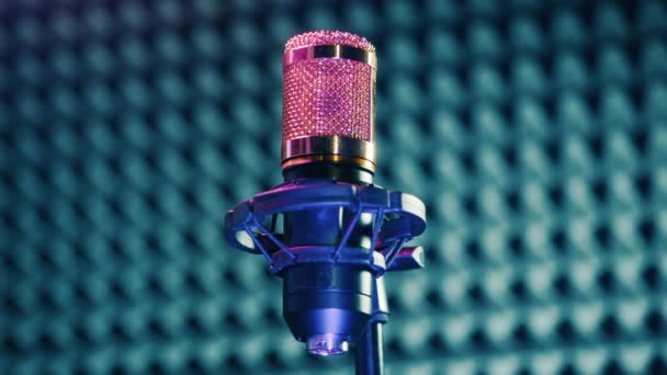 Profesionální Mikrofon Zvukotěsné Nahrávací Kabině — Stock video
