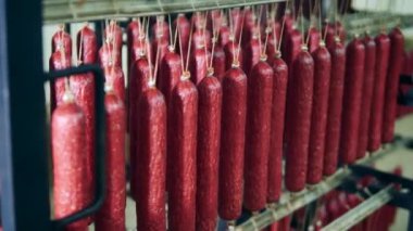 Depoda bir sürü tütsülenmiş sosis var. 4K