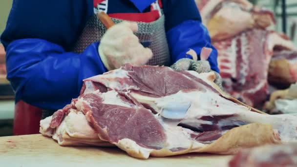 Meat Factory Employee Cutting Large Pork Pieces — Stock Video