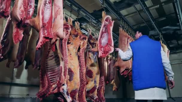 屠夫正在用冰柜里的钩子重新安置肉 — 图库视频影像