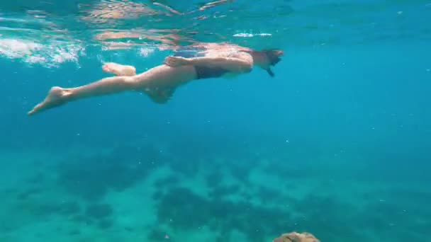 Chica Haciendo Snorkel Nadando Bajo Agua Mujer Traje Baño Libre — Vídeo de stock