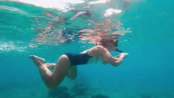 Pige Engagerende Snorkling Svømning Vandet Kvinde Badedragt Fridykning Dybden Havet – Stock-video