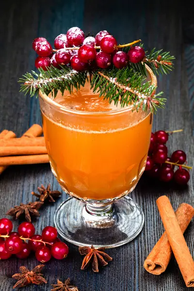 传统的秋天 冬天的饮料 带有肉桂棒和越橘的热苹果酒 图库图片