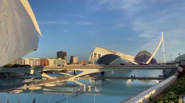 Valencia, İspanya 'da Sanat ve Bilim Şehri. Kamera Palau de les Arts Reina Sofia boyunca süzülüyor. Altın saat ışığı.
