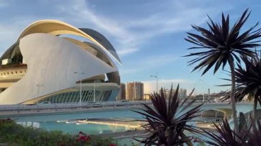Valencia, İspanya 'da Sanat ve Bilim Şehri. Kamera Palau de les Arts Reina Sofia boyunca süzülüyor. Altın saat ışığı.