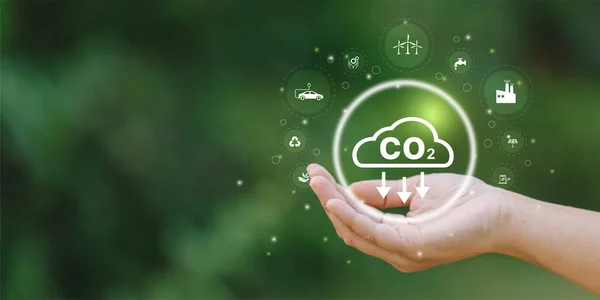 Sanal ekranda CO2 simgesini tutan işadamı küresel ısınmayı sınırlamak için CO2 salınımını azaltıyor. Yenilenebilir enerjinin sürdürülebilir gelişimine sahip düşük CO2 seviyeleri