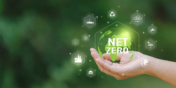 Businesswoman Holding icon Net Zero and Carbon Neutral Concepts Net Zero Emissions Goals With a connected icon concept related to Net Zero with hexagon grid.
