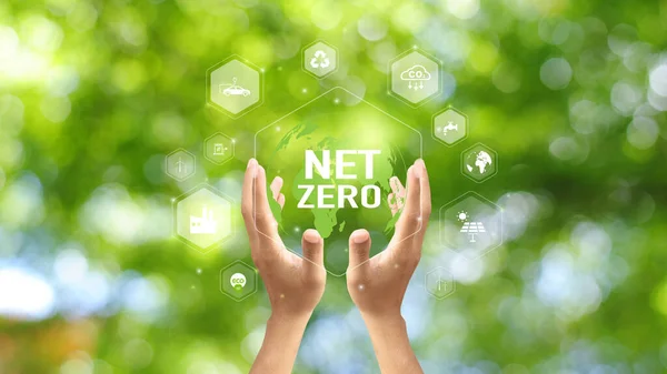 Hand Met Groen Blad Met Net Zero Pictogrammen Co2 Netto — Stockfoto