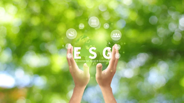 Businesswomen holding world to Organization Sustainable development environmental. Sustainable business or green company Concept. business responsible environmental,