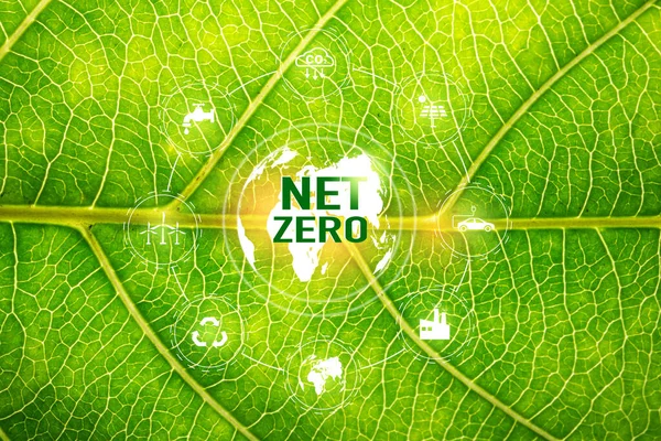 Net Zero and Carbon Neutral Concepts Net Zero Emissions Goals With a connected icon concept related to Net Zero with hexagon grid.