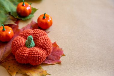 Balkabağı ve yapraklarla sonbahar kompozisyonu. sonbahar arkaplanı.