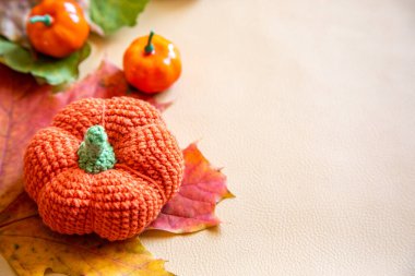 Balkabağı ve yapraklarla sonbahar kompozisyonu. sonbahar arkaplanı.