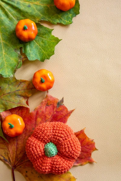 Herbstkomposition Mit Kürbissen Und Blättern Hintergrund Herbst Stockbild