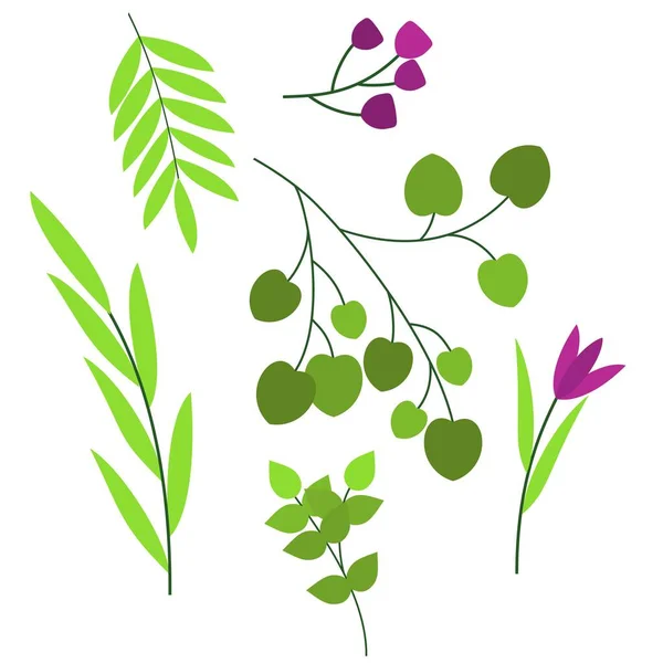 有叶子的小枝 花和树枝 植物的要素 — 图库矢量图片