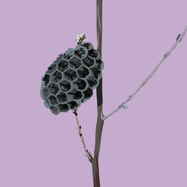 ワスプ コンバース ワスプ ネスト ハニーコム スケッチ 野生動物 草の枝にワスプの家 幾何学的なハニカムパターン — ストックベクタ